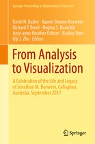 Springer Proceedings in Mathematics & Statistics- From Analysis to Visualization