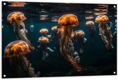 Tuinposter – Kwallen - Zee - Oceaan - Dieren - Groep - 120x80 cm Foto op Tuinposter (wanddecoratie voor buiten en binnen)