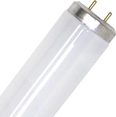 Tube fluorescent SPL G13 T12 | 40W 3500K 960lm 635 | 600mm