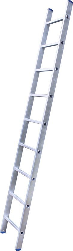Aluminium ladder met 9 treden, blauwe eindkappen.