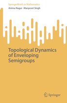 SpringerBriefs in Mathematics - Topological Dynamics of Enveloping Semigroups