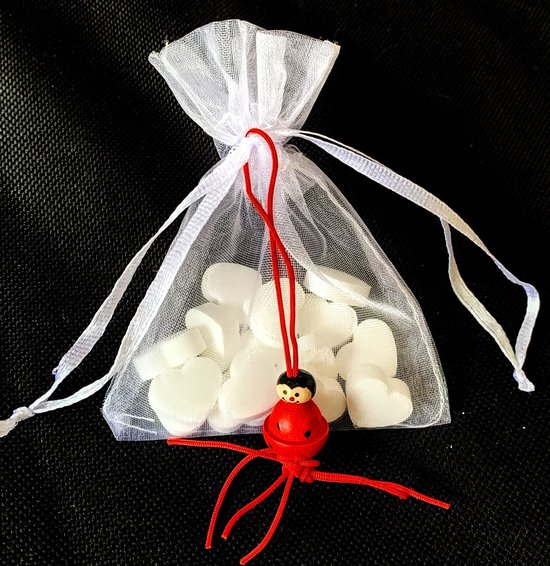 Hangertje klavertje met lieveheersbeestje - Spirituele winkel