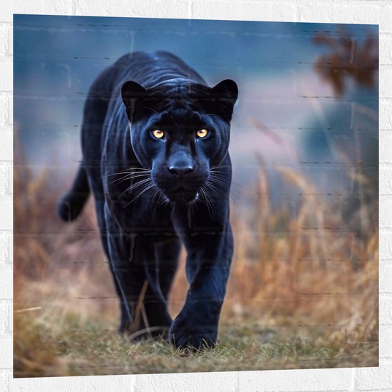 Muursticker - Panter -Zwart - Dier - Wid - 80x80 cm Foto op Muursticker