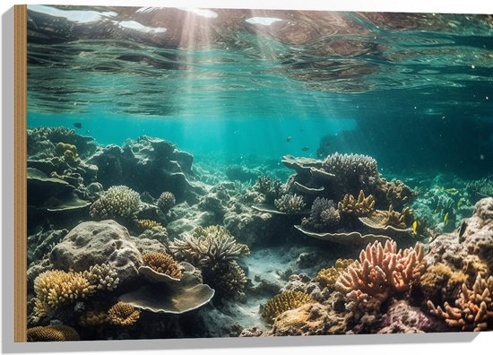 Hout - Onderwater - Zee - Water - Koraal - Dieren - Kleuren - Zand - 75x50 cm - 9 mm dik - Foto op Hout (Met Ophangsysteem)