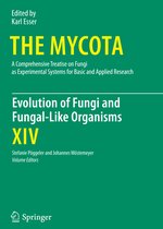 Evolution of Fungi and Fungal-like Organisms