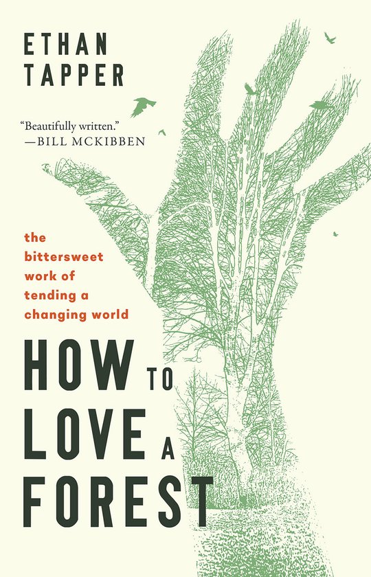 How to Love a Forest - cover