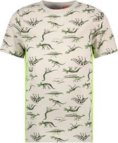 T-shirt Garçons - Thijs - Pierre clair