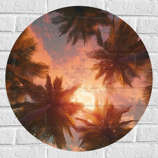 Muursticker Cirkel - Palmbomen - Kleuren - Onderaanzicht - Zon - 60x60 cm Foto op Muursticker
