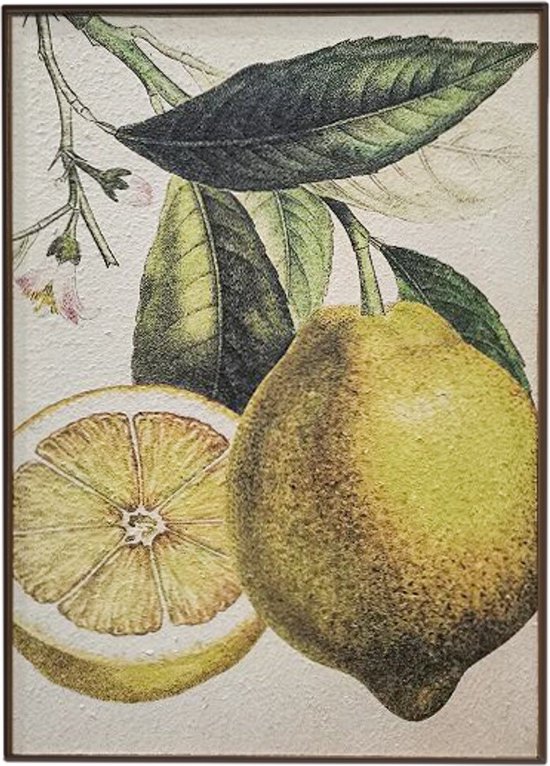 Schilderij citroen vintage - wandpaneel fruit - 50x70cm