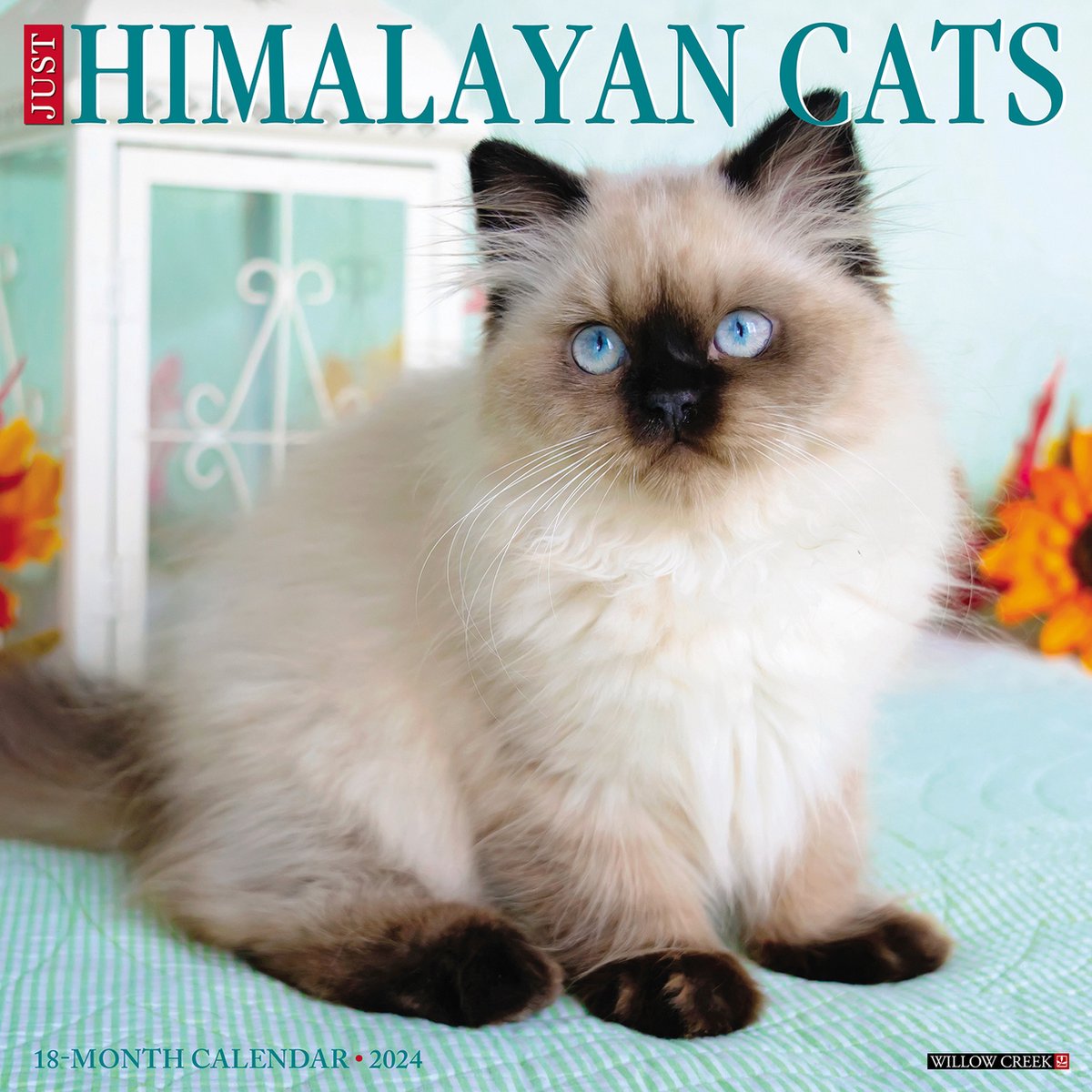 Himalayan Cats Kalender 2024