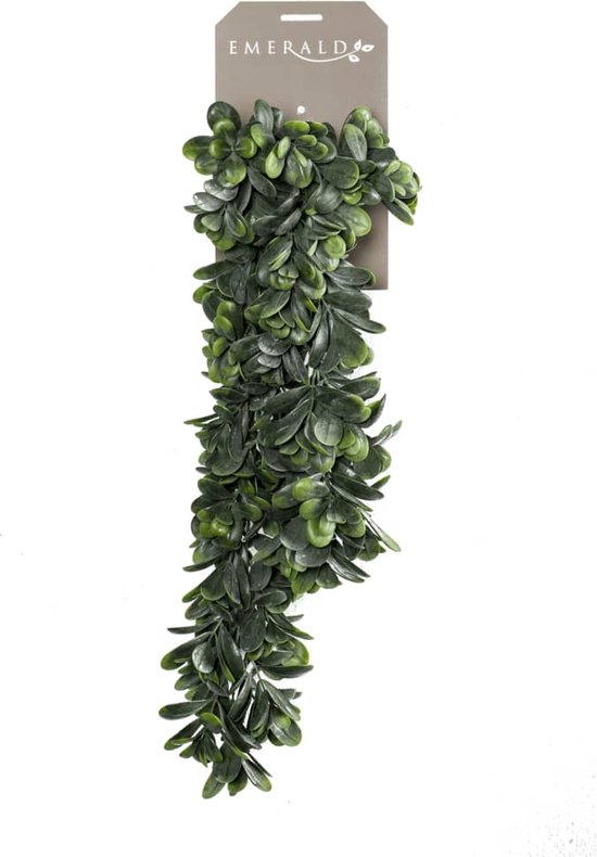 Plante artificielle suspendue Crassula 80 cm