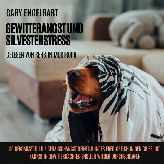 Gewitterangst und Silvesterstress: So bekommst du die Geräu ... - cover