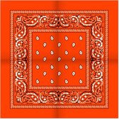 New Age Devi - Bandana Paisley oranje - 100% katoen - boeren zakdoek - orange - Cotton - zakdoek - hoofdband - sjaaltje - accessoire - carnaval
