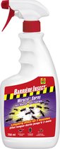 Barrière Insecte Mirazyl Spray - contre les fourmis et nids de fourmis - effet longue durée 3 mois - utilisation intérieur et extérieur - spray 750 ml
