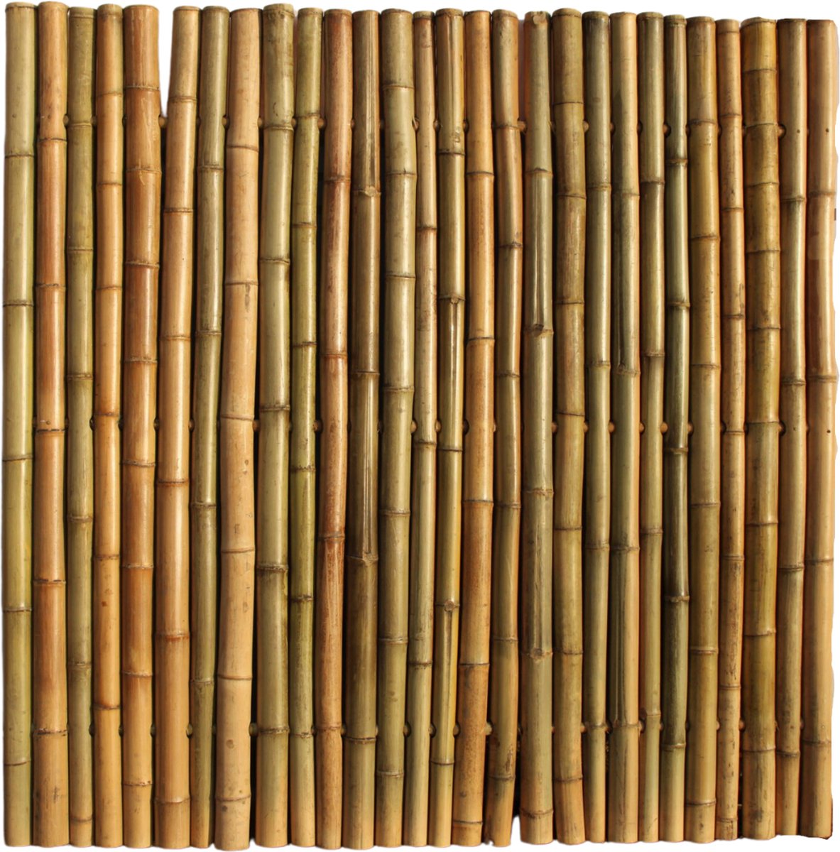 Bamboescherm 200 x 180 cm - Naturel - Extra | (H)200 x (B)180 cm