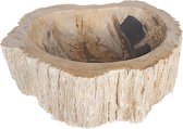 Differnz Fossil versteende houten opzetwastafel Ø 45 cm, crème