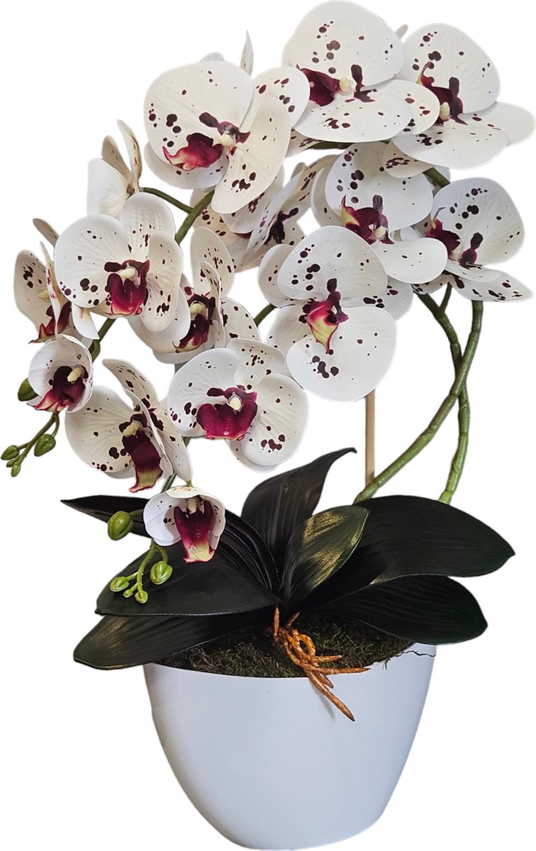 Damich - Kunst Orchidee in Bloempot - Voor binnen - Hoogte 50 cm - Wit- paars