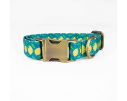 Luxe Halsband voor Honden-Metaal-Verstelbaar- 29 Cm-42Cm x 2,5 Cm-D11