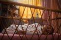 Baby slaapt in rieten wieg, met babyfoon op nachtkastje op de achtergrond.