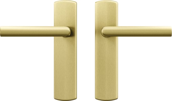 Twee gouden deurklinken met schilden, geïsoleerd op witte achtergrond.