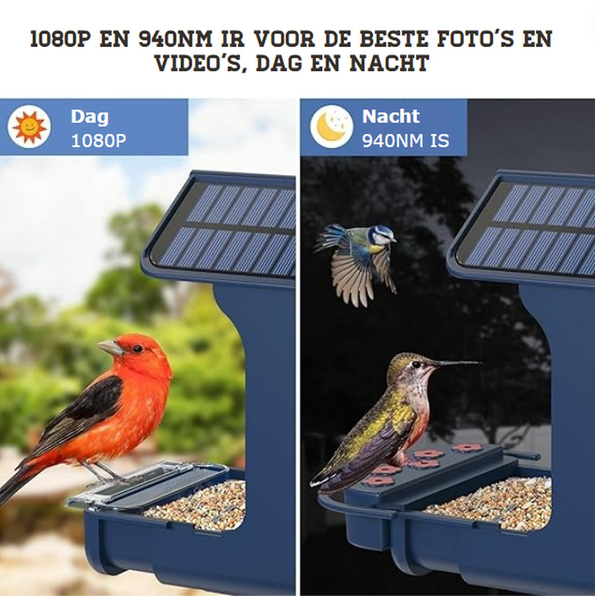 Smart Bird Feeder met Camera, Multifunctionele Real-time Monitoring Hangende Vogelfeeder, AI Identificeer WiFi-verbinding Bird Watching Camera Feeder voor Garden Patio Backyard (Ronde