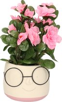 Dijk Natural Collections Bloempot/plantenpot gezicht met brilletje - wit/lichtroze - voor kamerplant - D13 x H10 cm