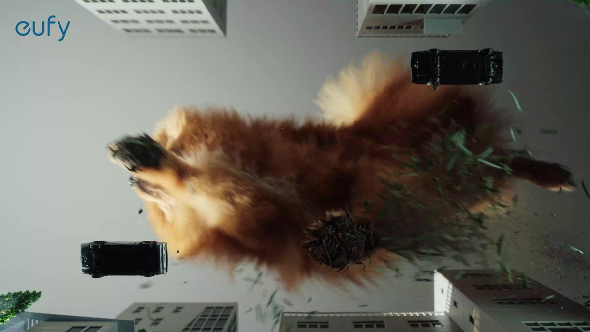 eufy X10 Pro Omni Robotstofzuiger & Dweil