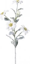 Witte kunstedelweiss steel H45