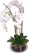 Witte kunstorchidee op pot H73