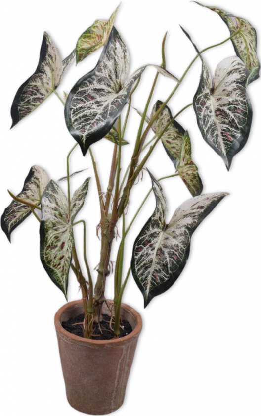 Silk Ka zijdeplant CALADIUM GROEN 80 cm