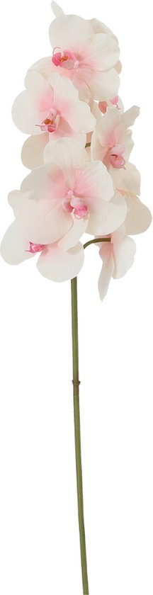 Kunstroze en witte phalaenopsis orchideestengel H50