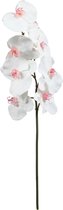 Witte kunstphalaenopsis orchideestengel H60