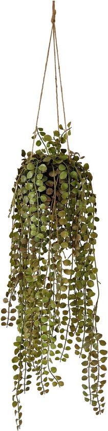 Kunst hangplant Moneytree | 90cm - Namaak hangplant in pot Moneytree - Kunstplanten voor binnen - Kunst hangplant Moneytree