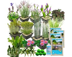 vdvelde.com - Compleet Vijverpakket Roze - L - 1.500 - 3.000 L - 93 planten voor 1.500 - 3.000 L - Creëert een onderhoudsvrije vijver - Plaatsing: -1 tot -100 cm