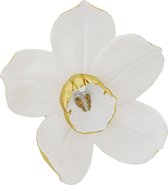 Kare Wanddecoratie Orchid Wit 44 cm