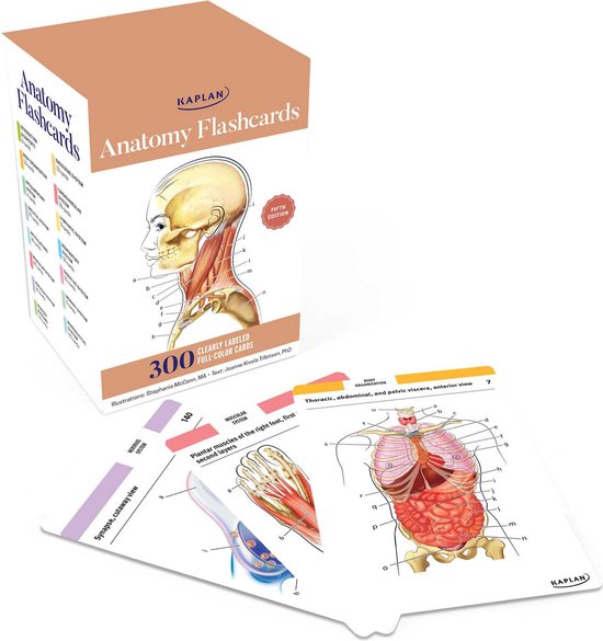 Anatomy Flashcards: 300 Flashcards with Anatomically Precise Drawings and Exhaustive Descriptions