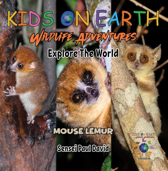 KIDS ON EARTH Wildlife Adventures - KIDS ON EARTH - Mouse Lemur - Madagascar