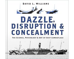Dazzle, Disruption and Concealment