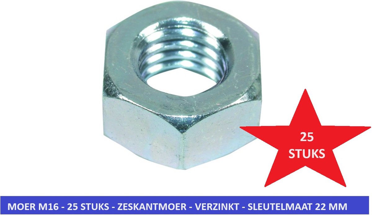 ZESKANTMOER M16 - 25 STUKS - VERZINKT - MOER - SLEUTELMAAT 22 MM