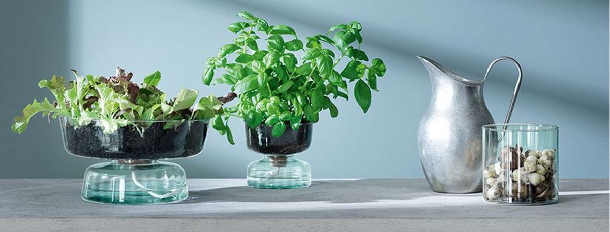 L.S.A. - Canopy Vaas 14 cm Recycled - Gerecycled Glas - Transparant -