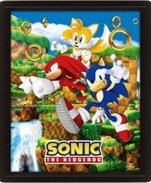 Sega - Sonic The Hedgehog - "Catching Rings" 3D Lenticulair Fotolijst 26x20cm