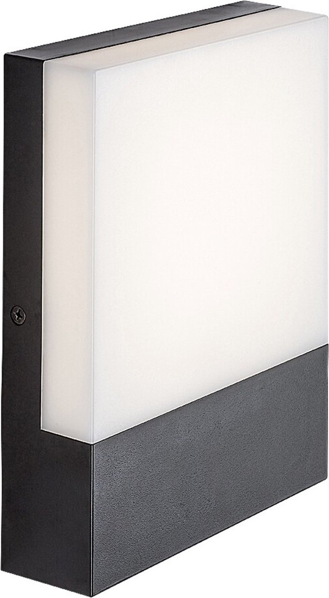 Rabalux Wandlamp - lamp, buiten, wandmontage, LED 10W, IP44, 4000 K - zwart, Gimone