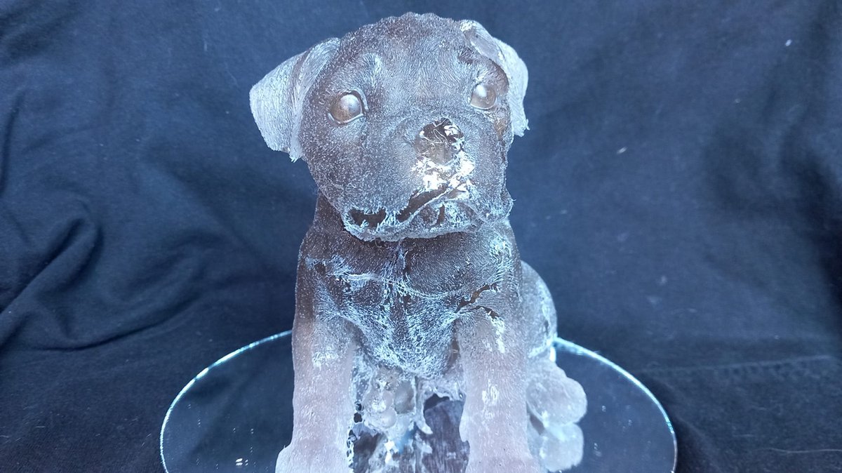 starwolf, beeldje boxer pup met ledverlichting, bruin, geschenk, beeld, decoratie
