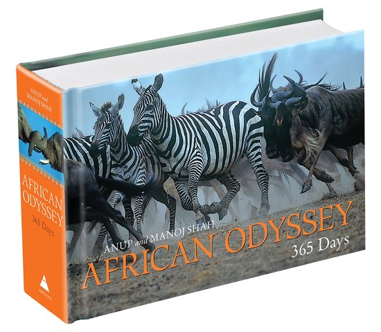 African Odyssey