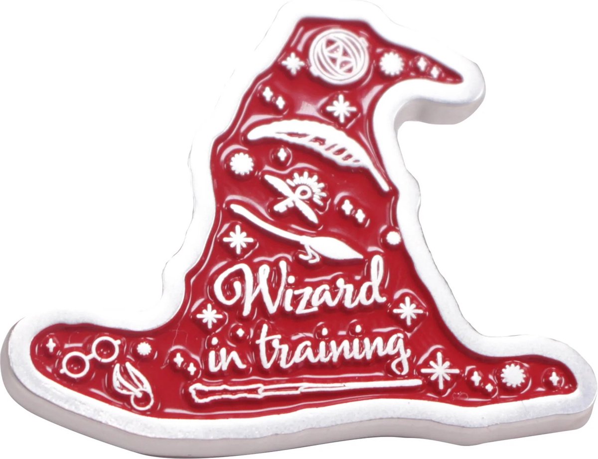 Harry Potter - Wizard in Training Enamel Pin Badge