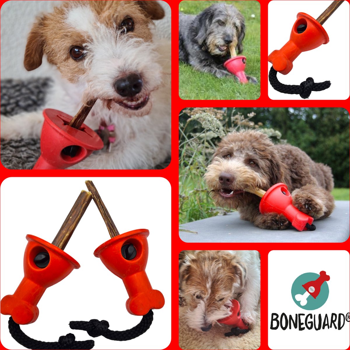 Boneguard-hondenkluif houder--maat 1 kleine-honden tot ca 15 kilo - Boneguard