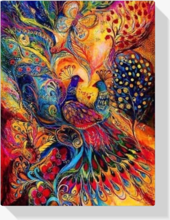 SEOS SHOP - Diamond Painting - Kleurrijke Pauw 40x50cm - Diamond Paintings - Diamond painting volwassenen