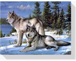 SEOS SHOP - Diamond Painting - Wolvenstel 40x50cm - Diamond Paintings - Diamond painting volwassenen