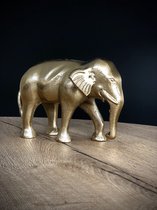 Olifant Goudkleur 14 cm hoog - Dierenbeeld - Afrika - Interieurdecoratie - Voor binnen - Cadeau - Geschenk - Valentijn - Verjaardag - Nieuwjaar - Kerst