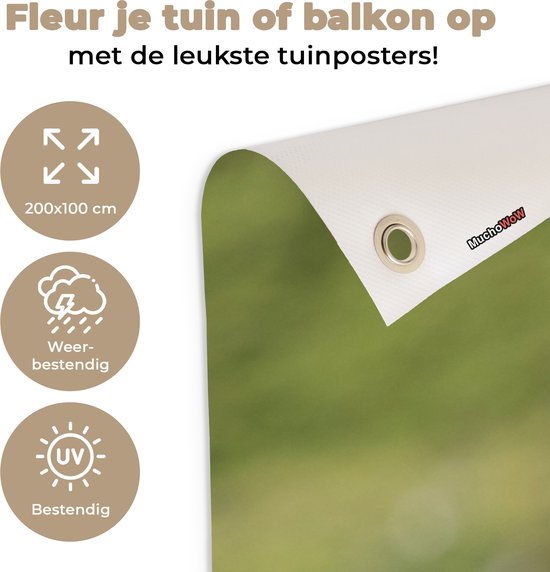 Affiche de clôture Lama - Drôle - Enfants - Garçons - Filles - Kids - 200x100 cm - Toile de jardin